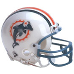 dolphin_mini_helmet.jpeg